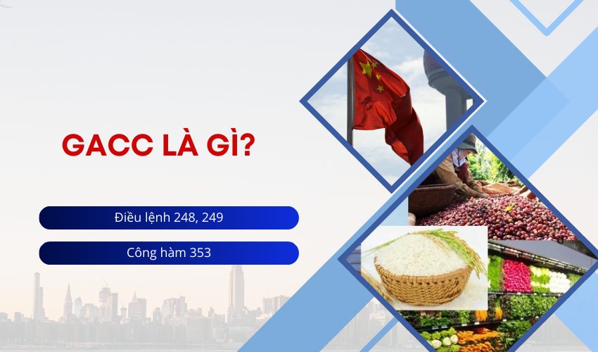 Vai trò của GACC đối với doanh nghiệp ngành nông nghiệp Việt Nam khi tiếp cận thị trường Trung Quốc