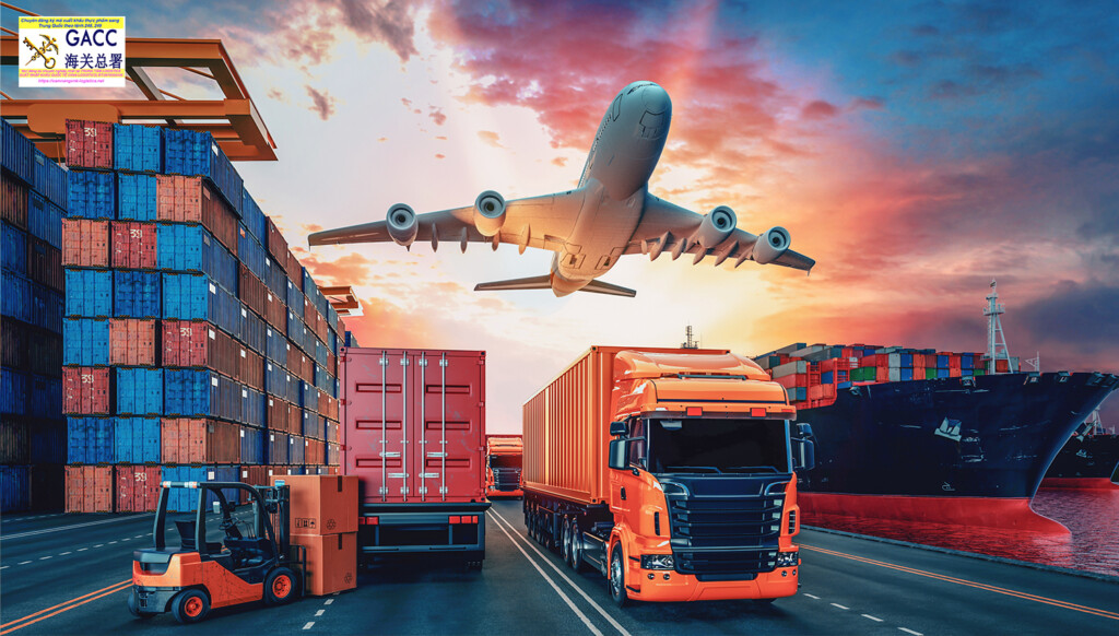 Dịch vụ tư vấn đăng ký mã GACC cho doanh nghiệp Việt Nam gồm những gì?