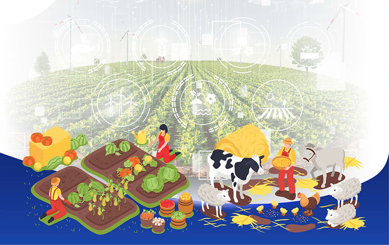 Chứng Nhận Thực Phẩm và Nông Nghiệp